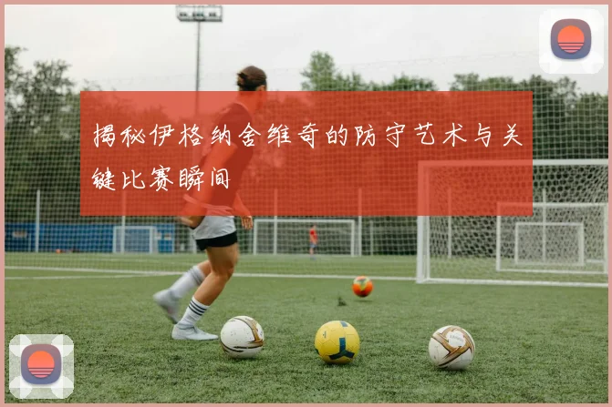 揭秘伊格纳舍维奇的防守艺术与关键比赛瞬间