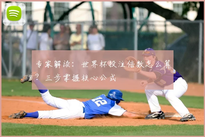 专家解读:世界杯投注倍数怎么算?三步掌握核心公式