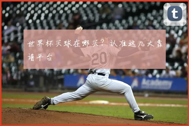 世界杯买球在哪买？认准这几大靠谱平台