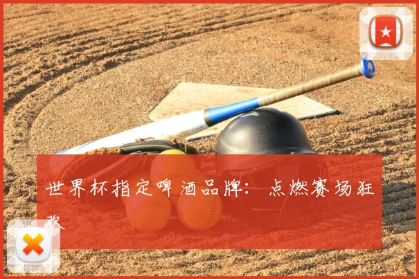 世界杯指定啤酒品牌：点燃赛场狂欢