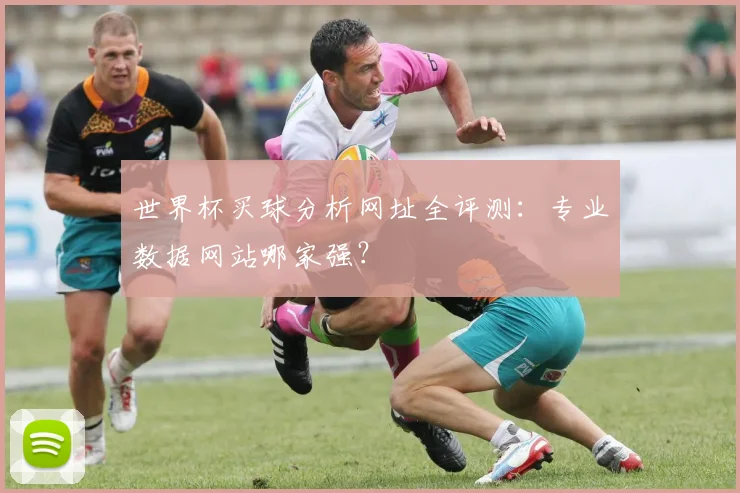 世界杯买球分析网址全评测：专业数据网站哪家强？