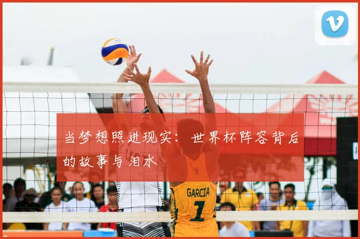 当梦想照进现实：世界杯阵容背后的故事与泪水