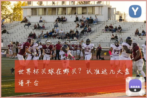 世界杯买球在哪买？认准这几大靠谱平台