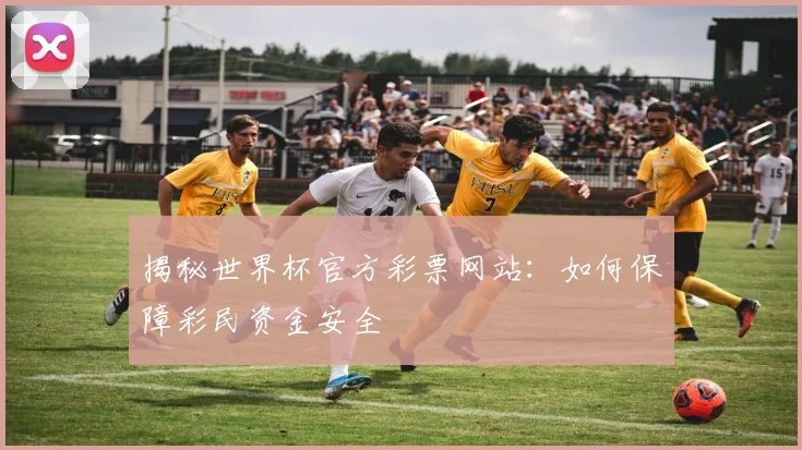 揭秘世界杯官方彩票网站:如何保障彩民资金安全