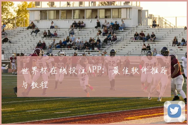 世界杯在线投注APP：最佳软件推荐与教程