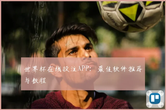 世界杯在线投注APP：最佳软件推荐与教程