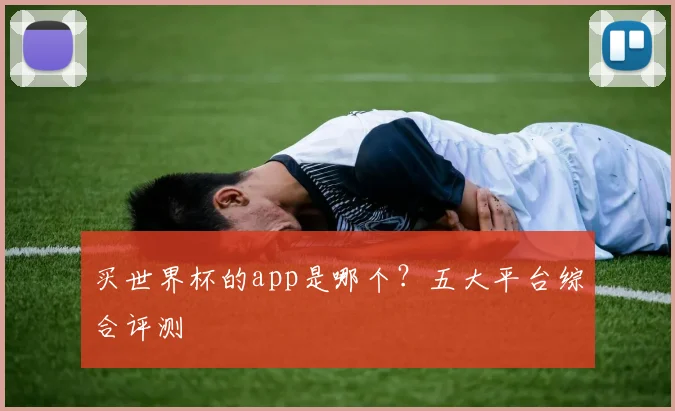 买世界杯的app是哪个?五大平台综合评测